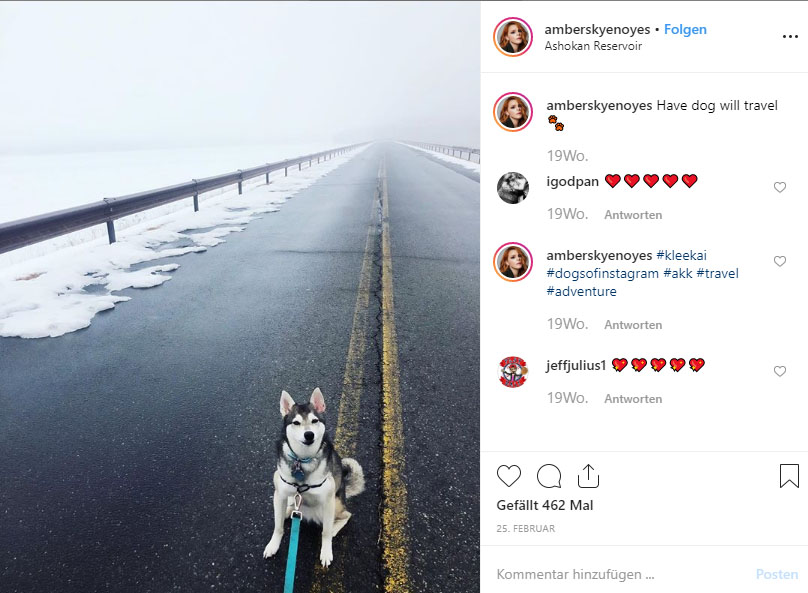 Amber Skye Instagram post of her dog.